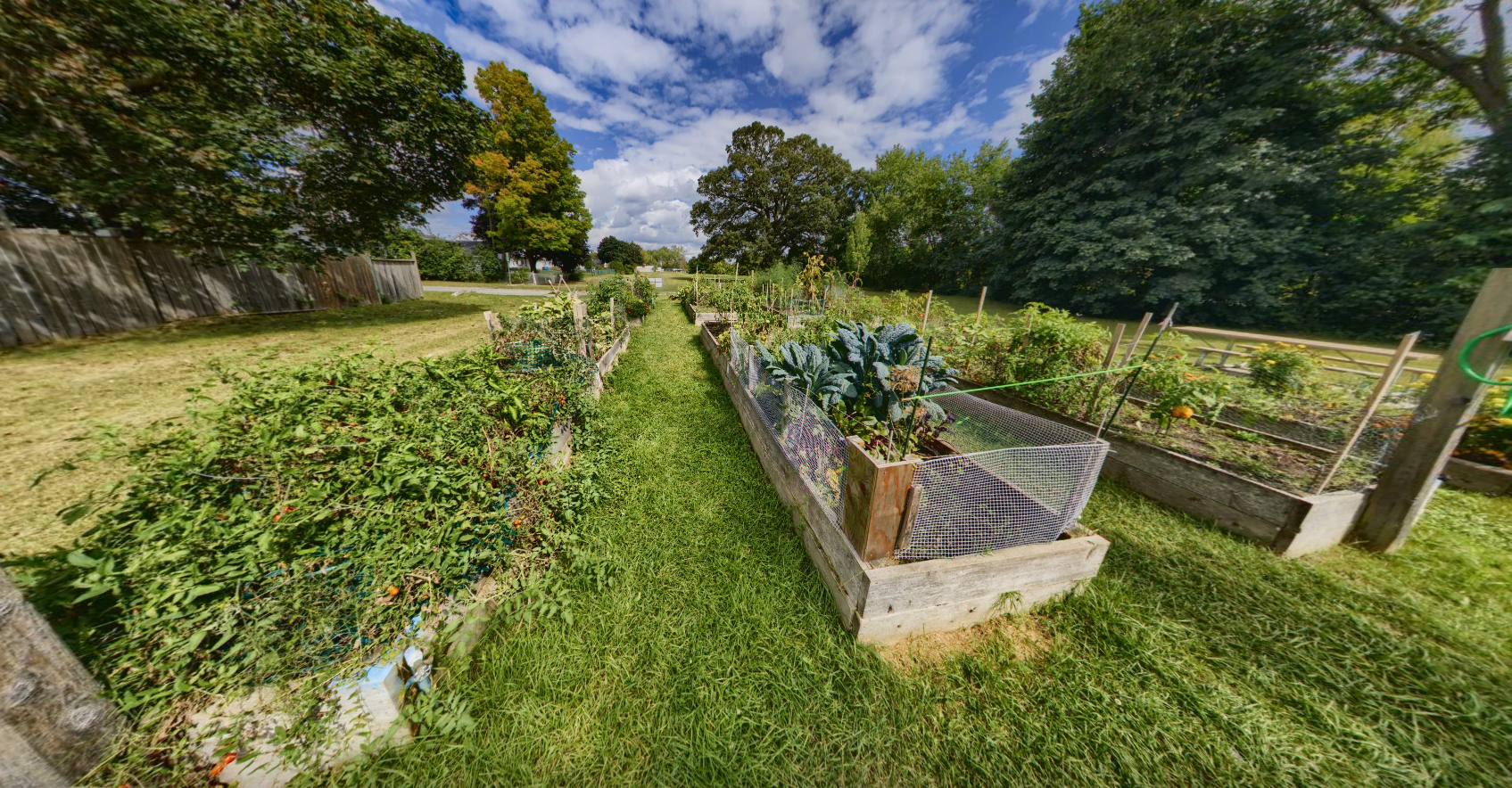 Photo of the Community Gardens garden beds.