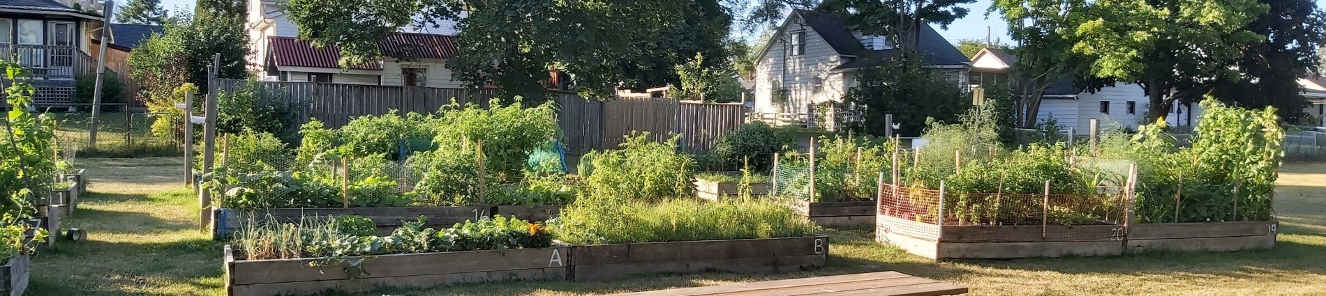 View of Bayview Heights Community Garden