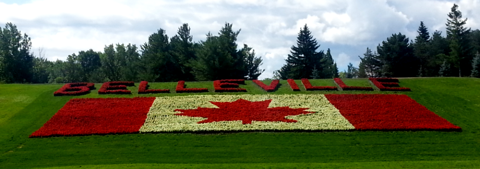 Photo of floral Canadian flag