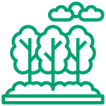 Icon of trees and clouds