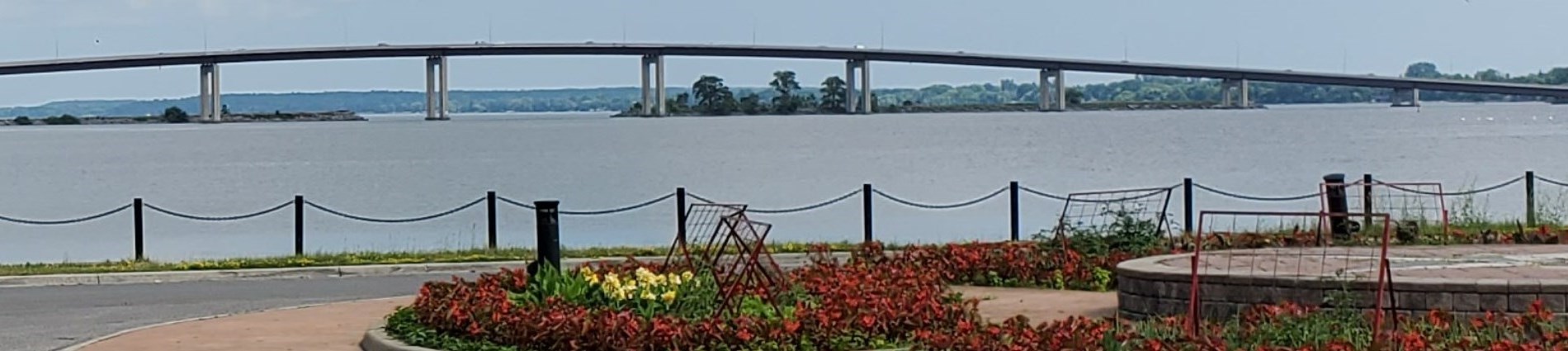 image of floral arrangement and Bay Bridge