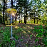 Disc Golf