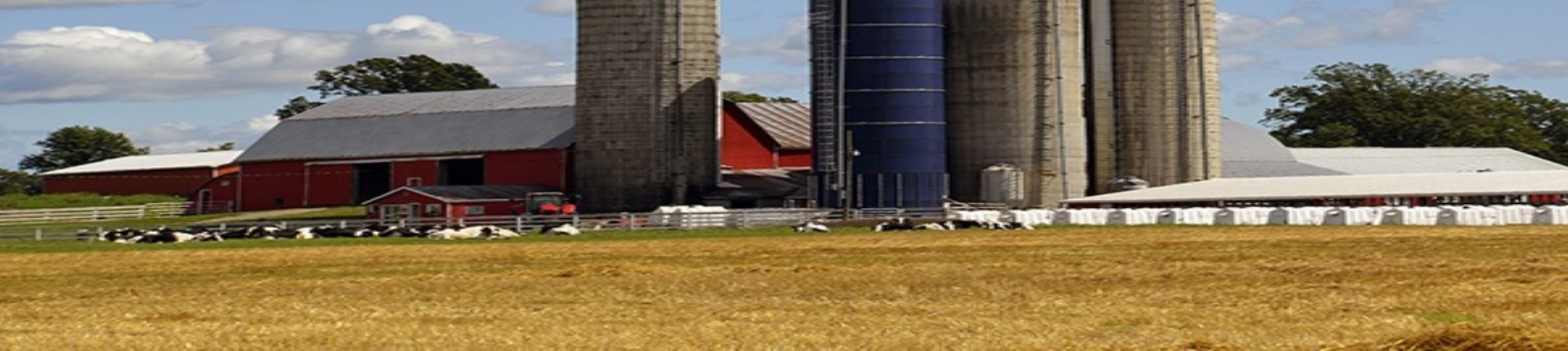 Farm Buildings