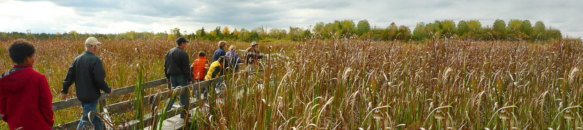 people on Frink Centre boardwalk