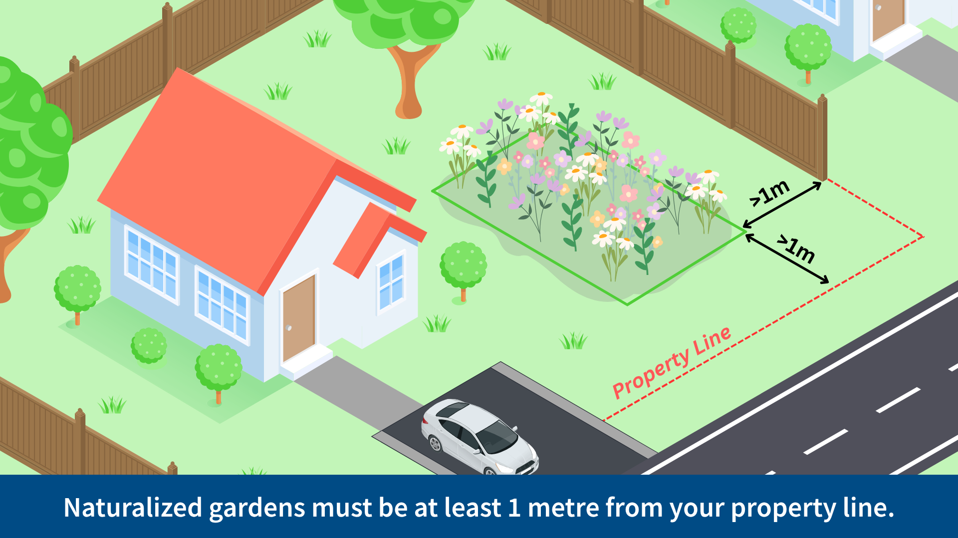A graphic showing an interior lot with a naturalized garden with native wild flowers and plants. The naturalized garden is more than 1 metre away from all property lines.