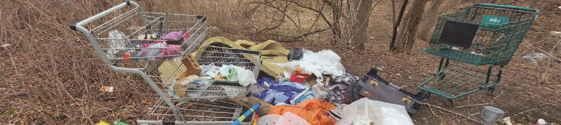 Example of an illegal dump site with household items and shopping carts