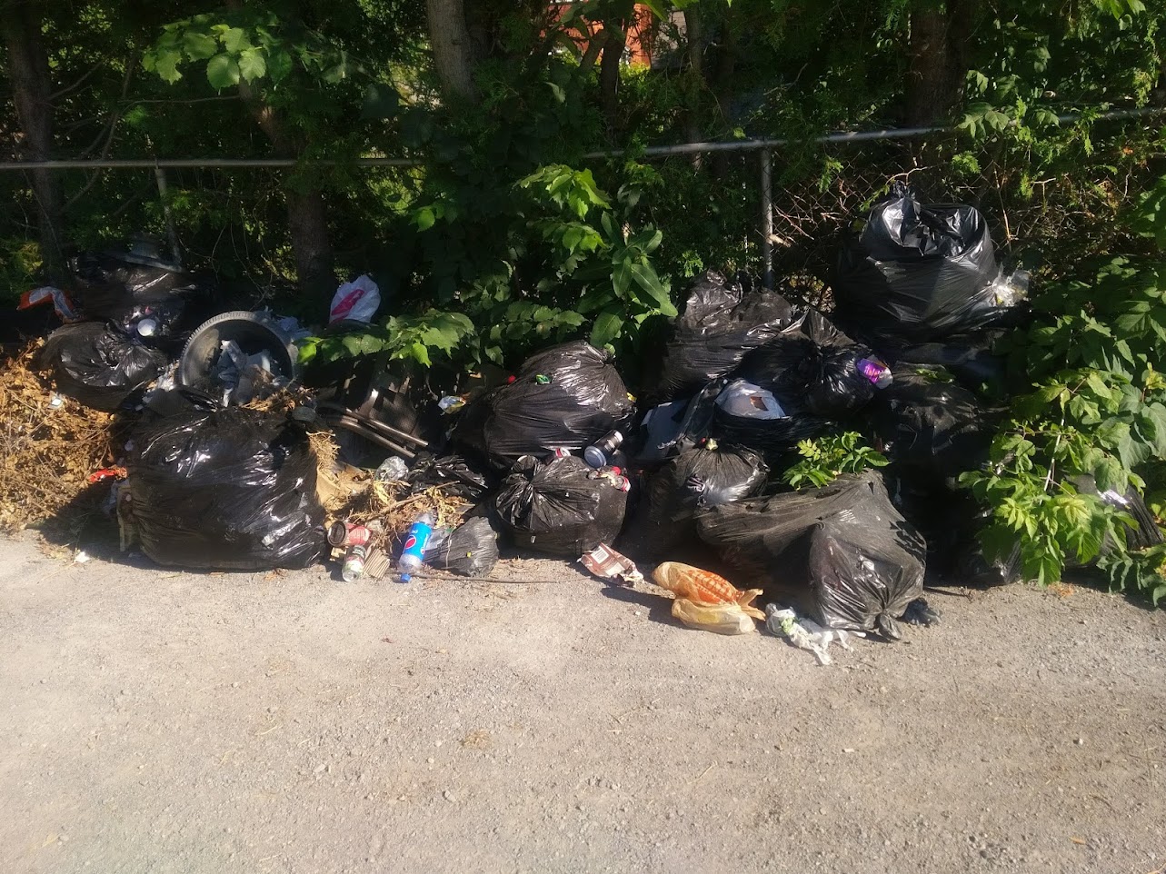 Picture of garbage bags illegally dumped along fence line