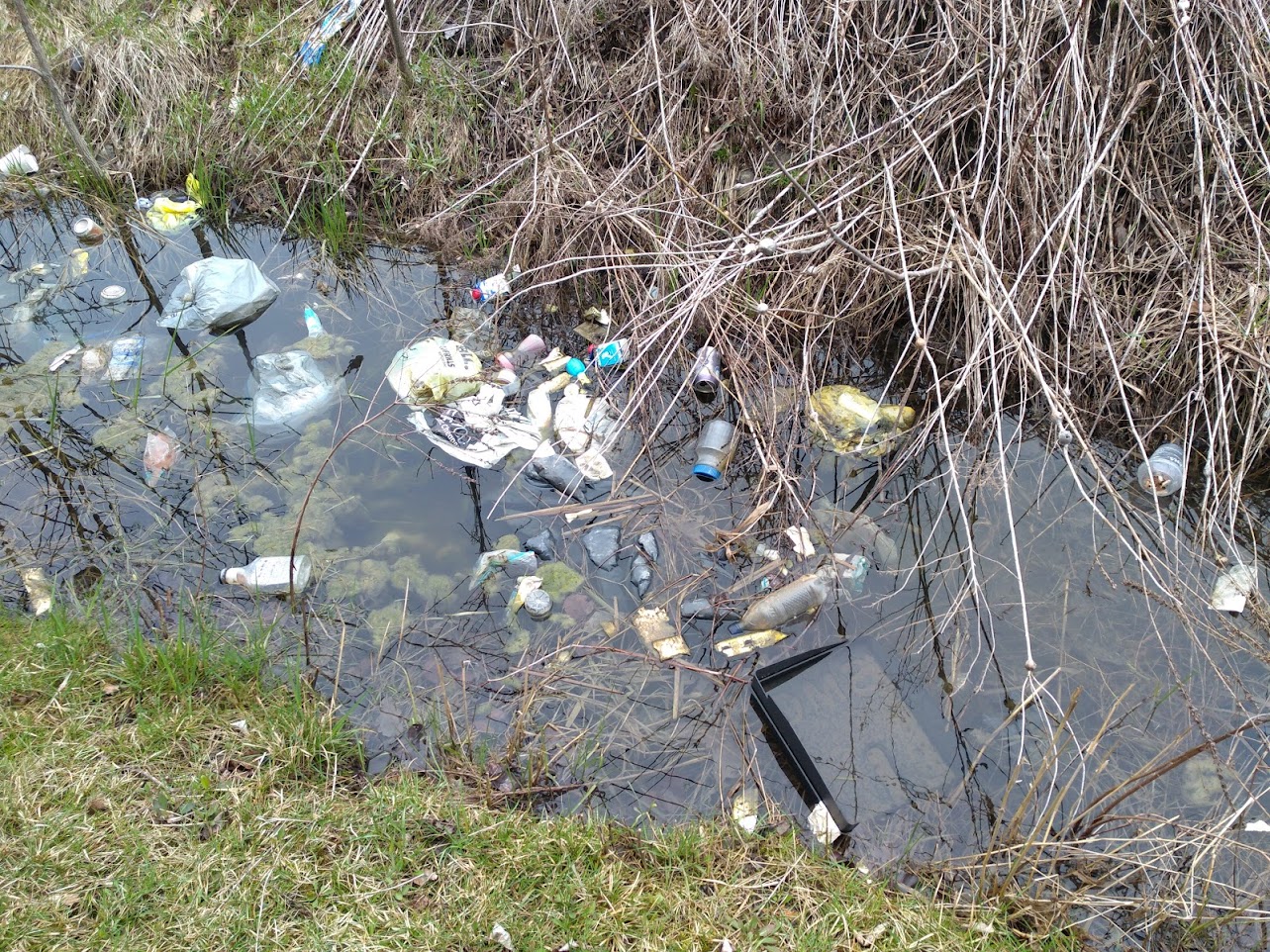 Picture of litter including plastic bags and take out cups floating in water stream