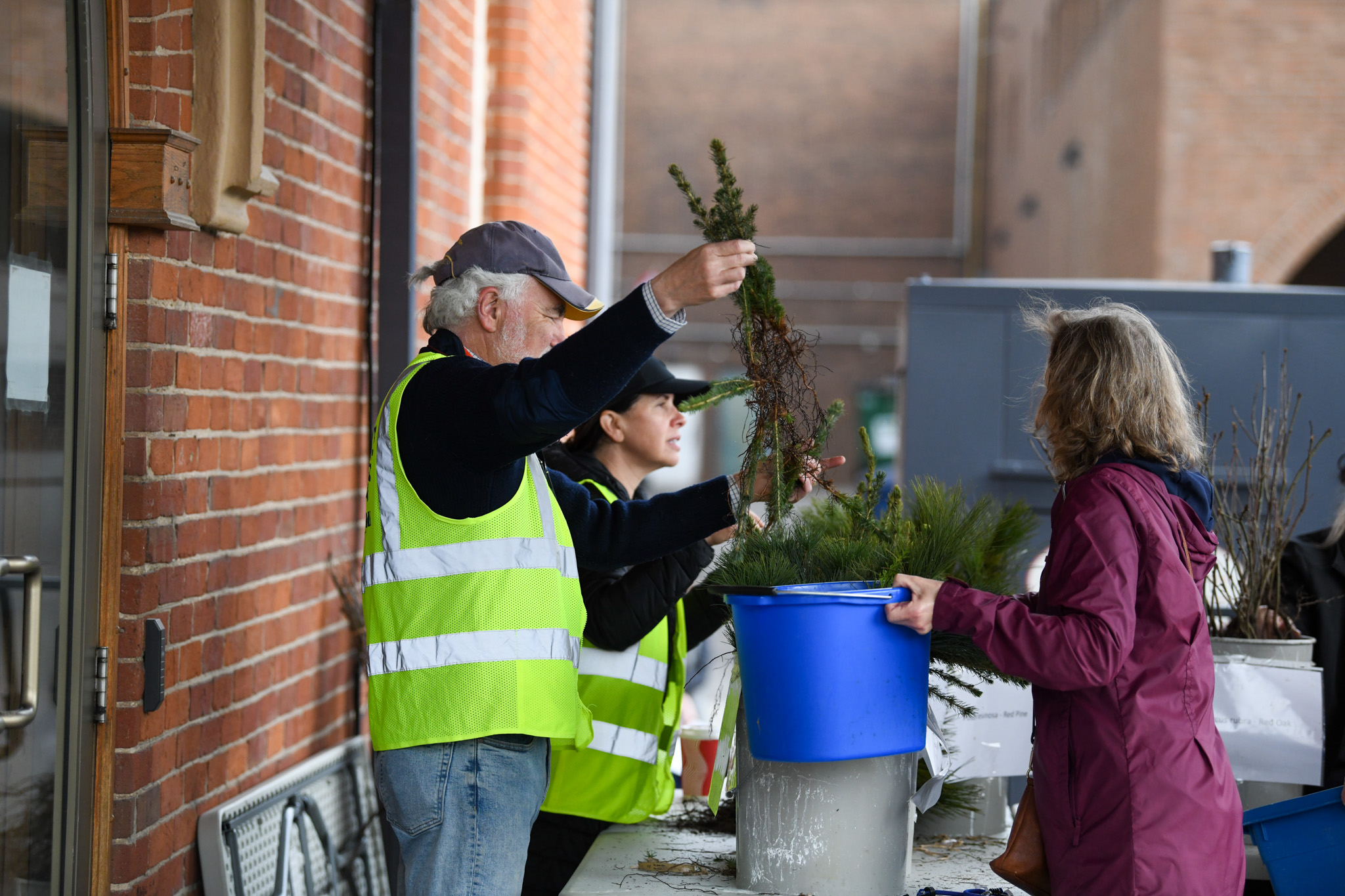 Photo of a volunteer giving a resident seedlings at the seedling giveaway.