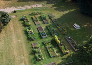 View of Bayview Heights Community Garden.