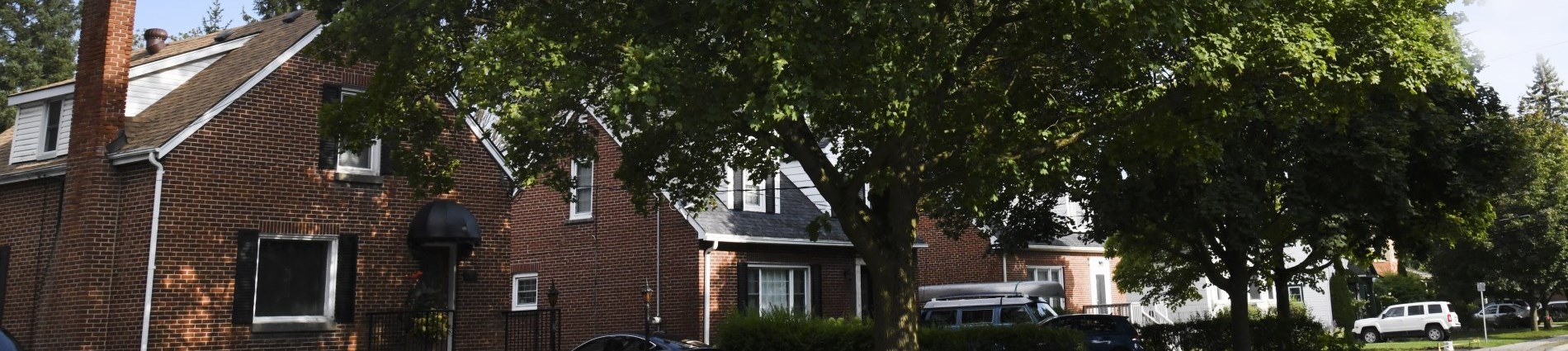 House and tree.