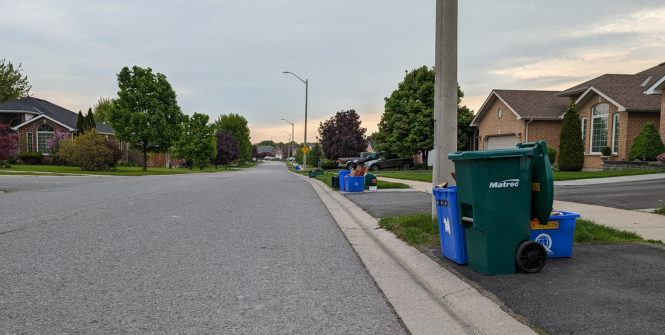 Image of roadside garbage and recycling