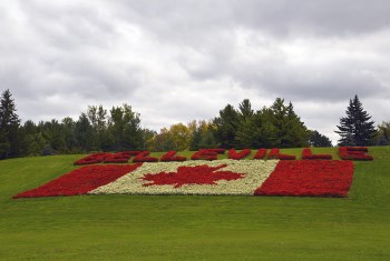 Photo of floral Canadian flag