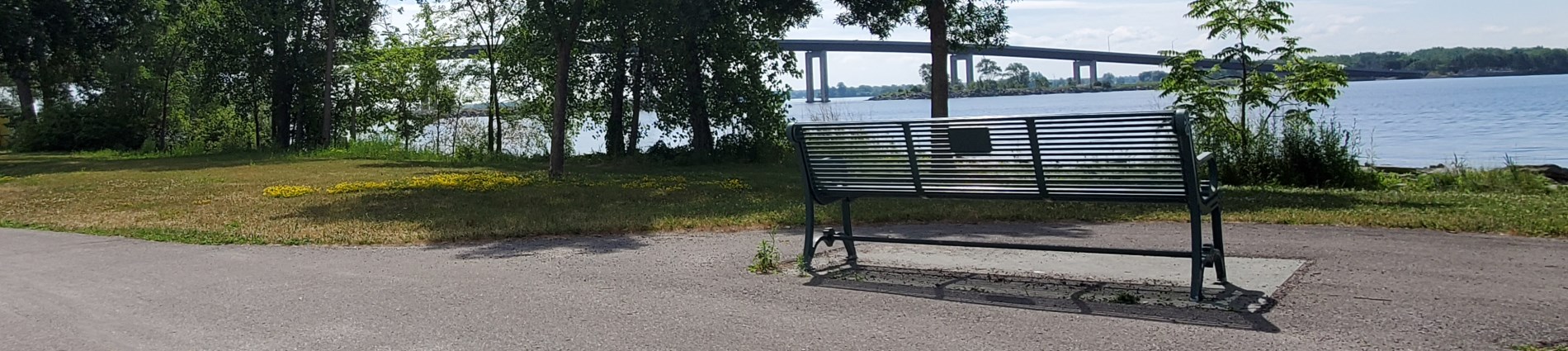 Photo of memorial bench overlooking Bay of Quinte