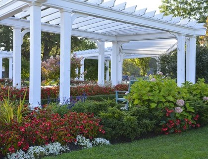 Image of white pergola