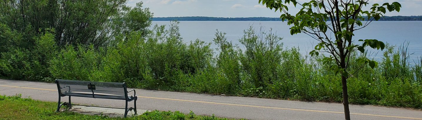 Photo of bench overlooking Bay of Quinte