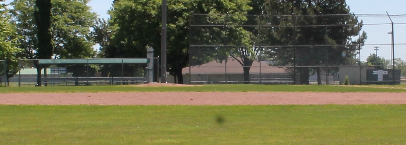 ball diamond and field at Centennial Park
