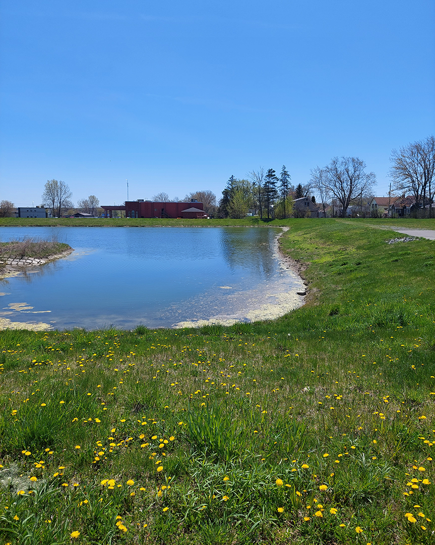 View of a storm pond