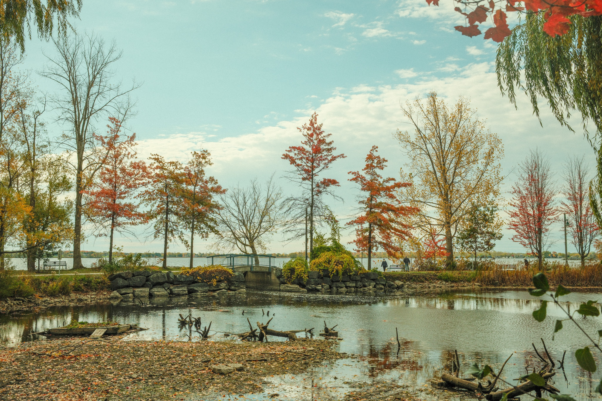 Fall leaves at the Belleville Turtle Pond