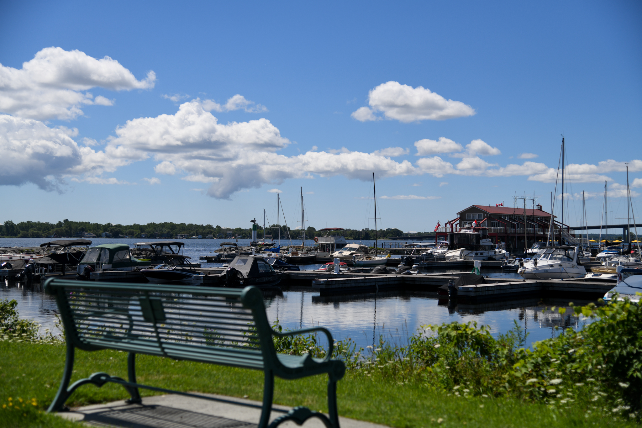 boats in the water