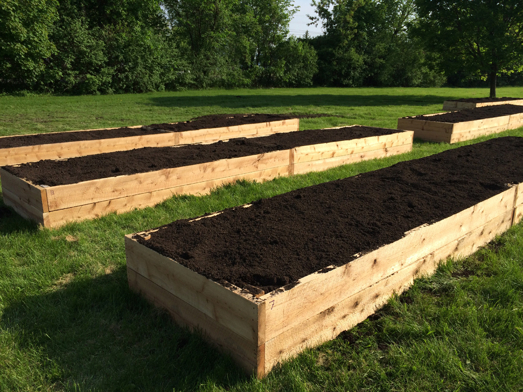 A photo of several planter boxes with fresh soil in a park for the Community Gardens