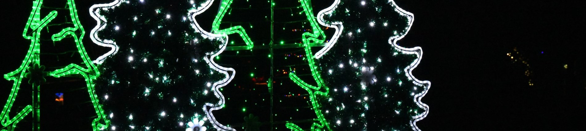 Photo of Festival of Lights Display with Green and White Trees