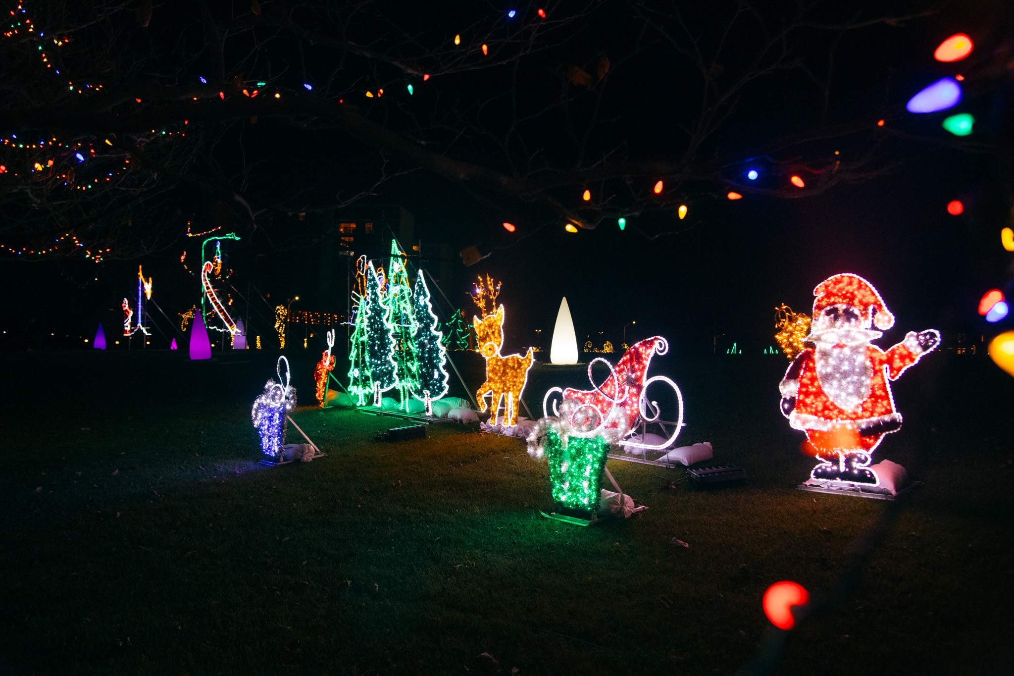 Photo of Festival of Lights lighting displays