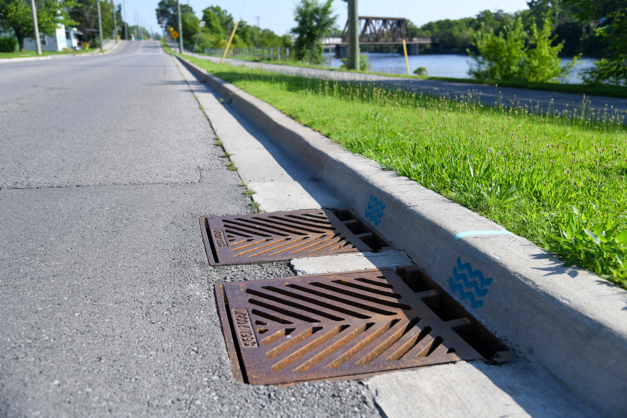 Photo of storm drains with a blue wave painted on the curb above them.