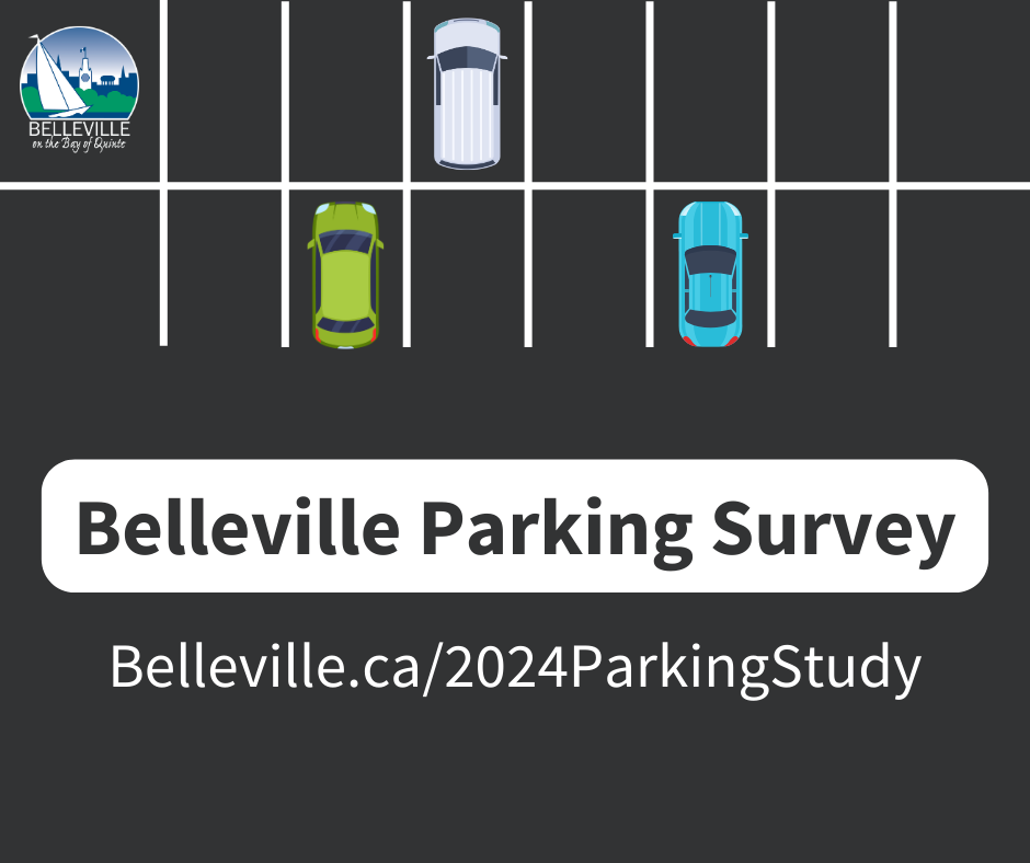Parking Survey image