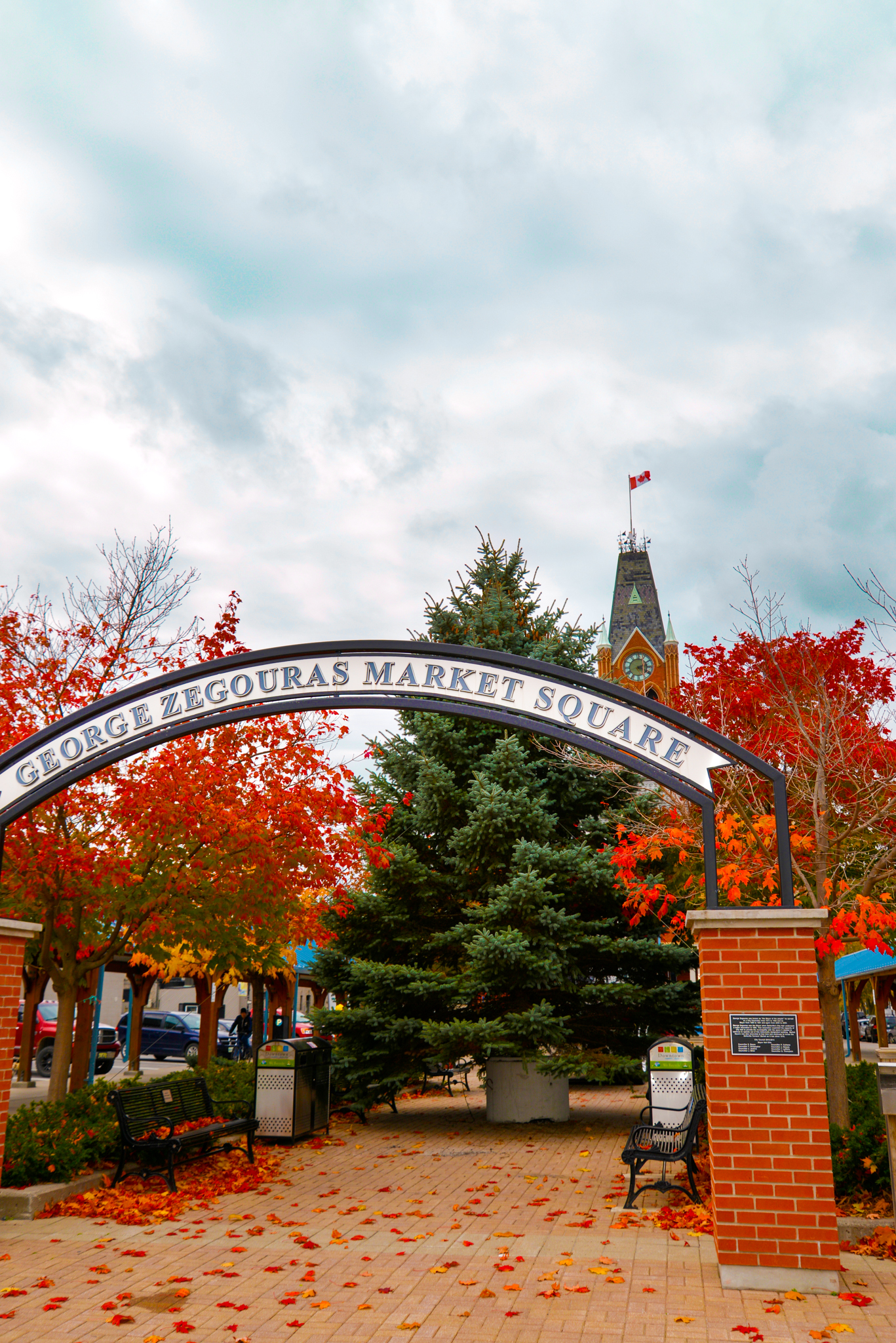 Photo of Market Square with a large spruce tree.