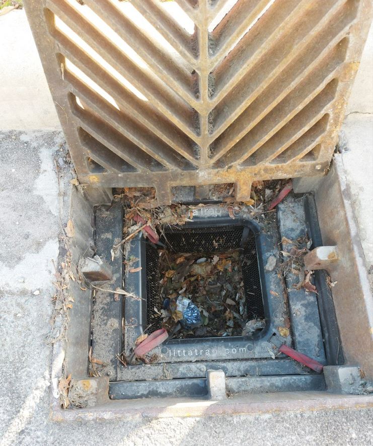An open sewer grate showing the LittaTrap inside, which has collected a variety of detritus.