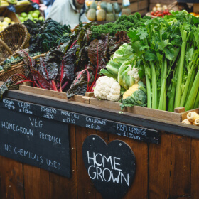 View our Belleville Farmers Market page