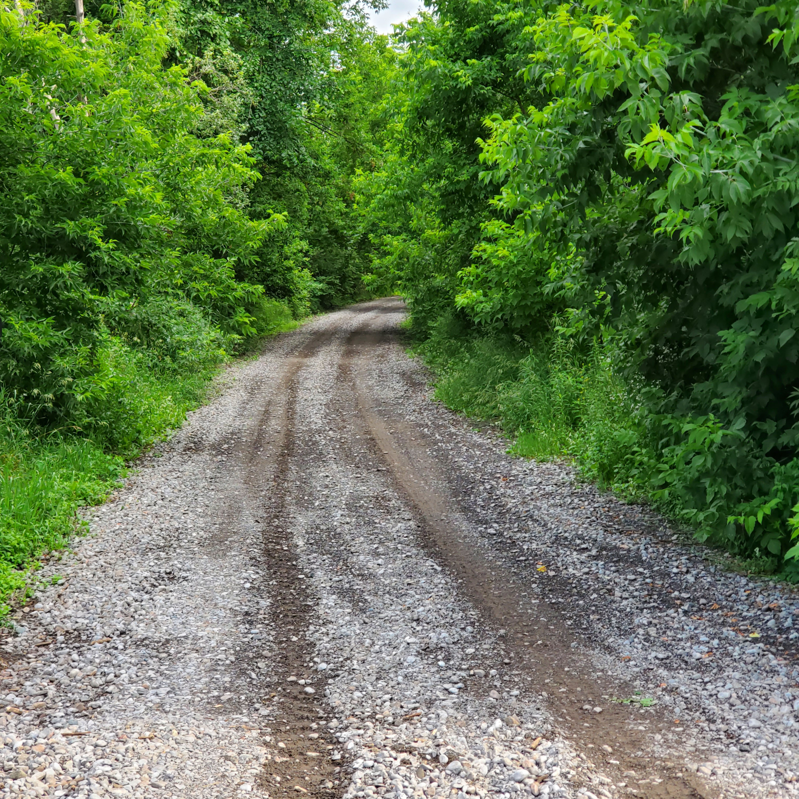 Photo of gravel trail 