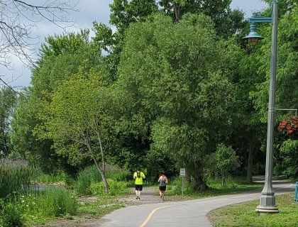 Photo of runners on a paved trail