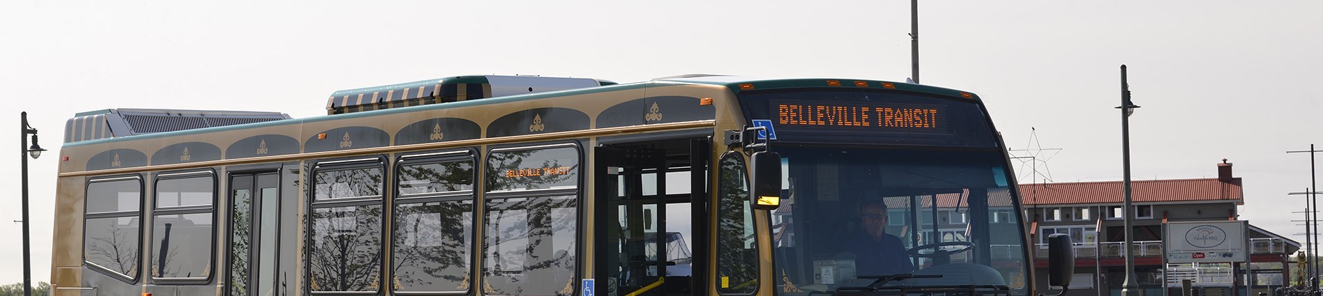 Image of the top of the Belleville Transit trolley bus