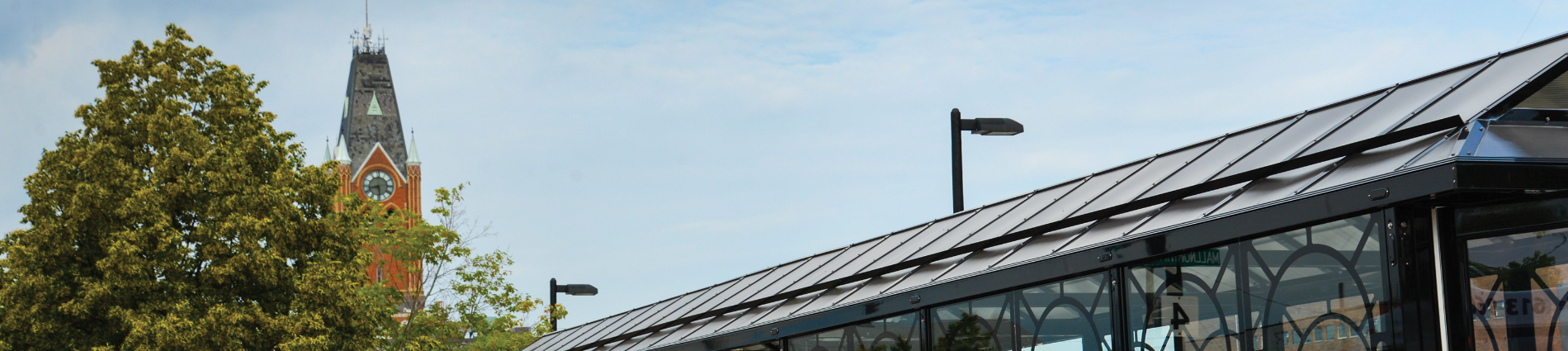 Photo of transit terminal shelter roof and City Hall