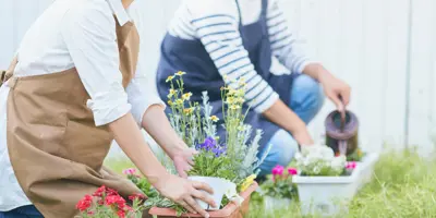 Two people gardening