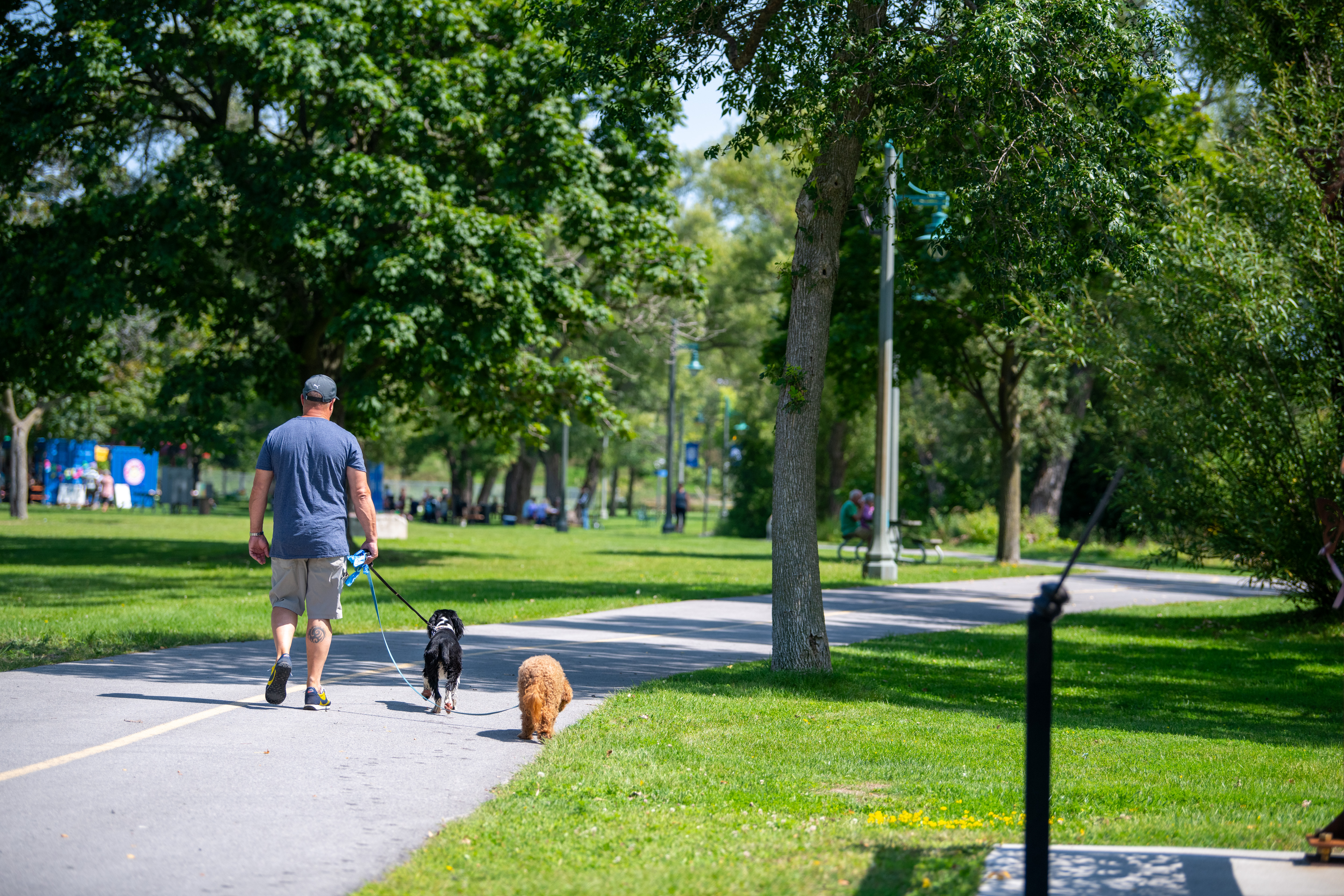 Zwick's Trail