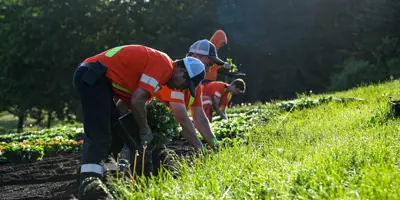 Staff working on floral display