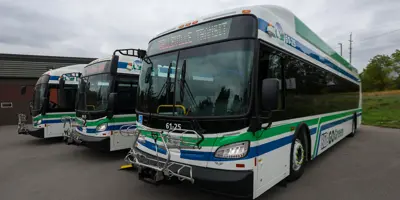 Example of Bus Exterior - Vinyl on rear window of bus