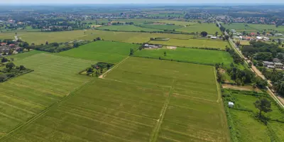 Field divided into different plots