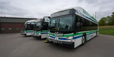 Photo of three transit buses.
